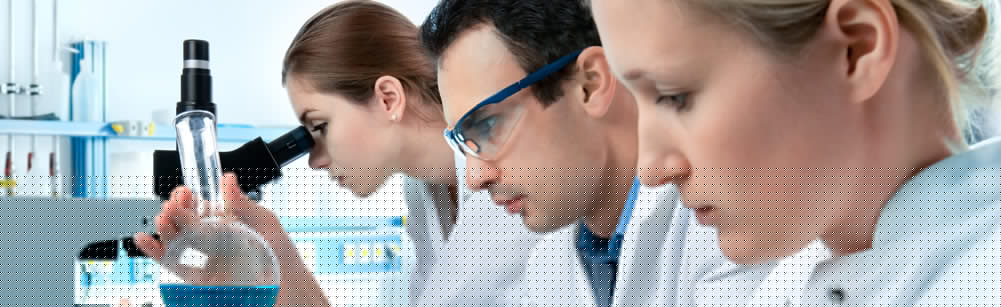 Aryaveer Paramedical Council javascript